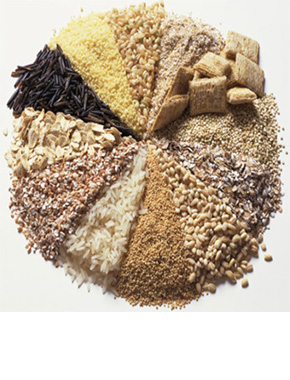 Корм и комбикорма